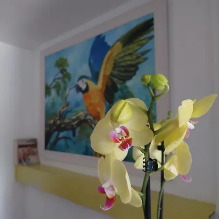 Vendégház L83 - And Lisboa